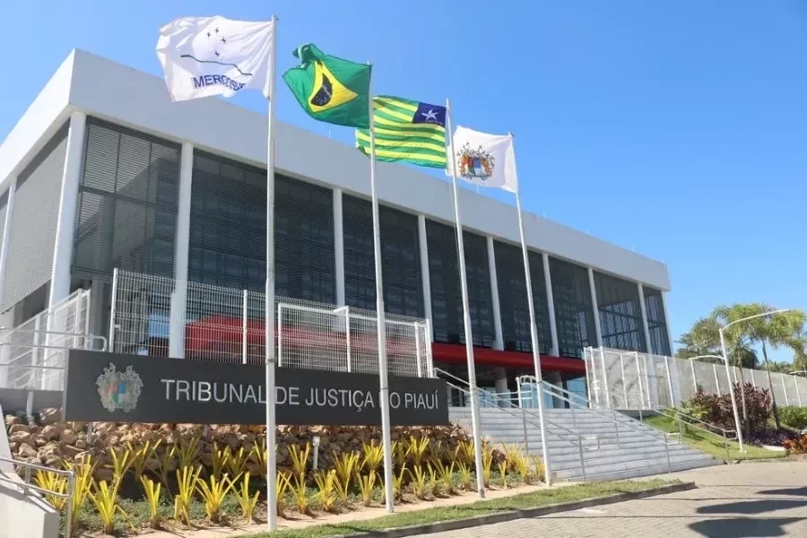 Acusado de matar mulher a pauladas em Palmeirais tem julgamento marcado